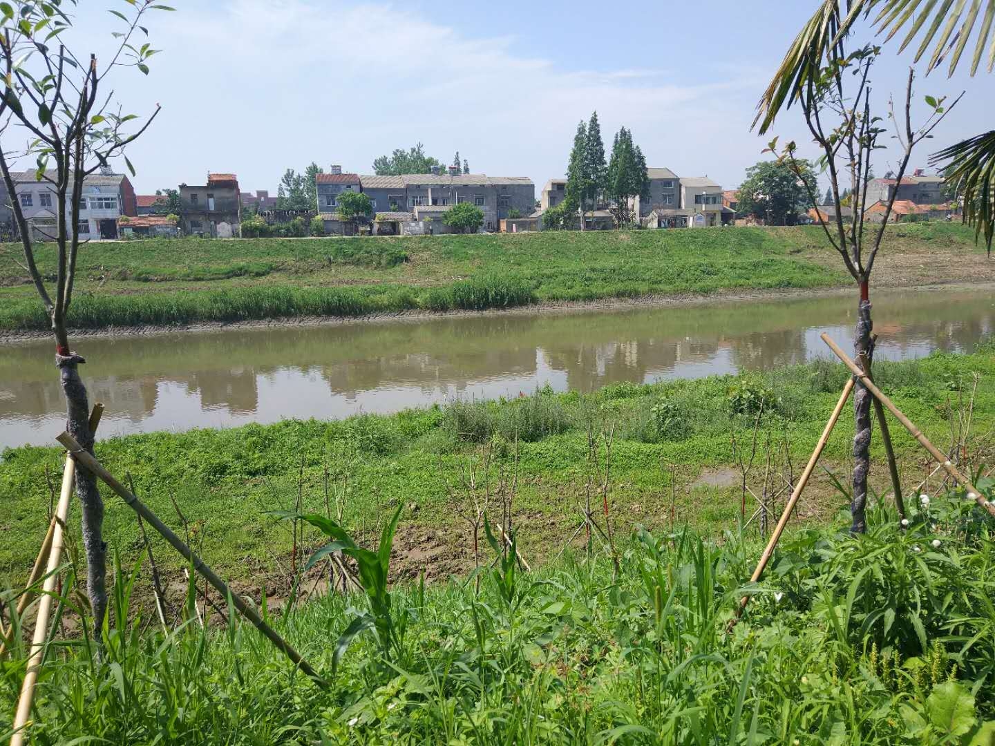 碧水蓝天荆楚梦 | 推行河湖长制 共筑美好家园