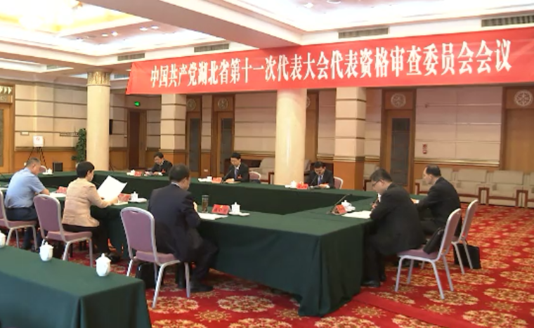 代表资格审查报告通过 850名党代表资格有效